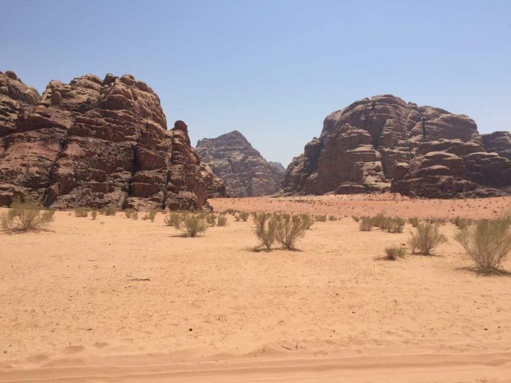 Wadi Rum-Bedouin Tents And Jeep Tours Kültér fotó