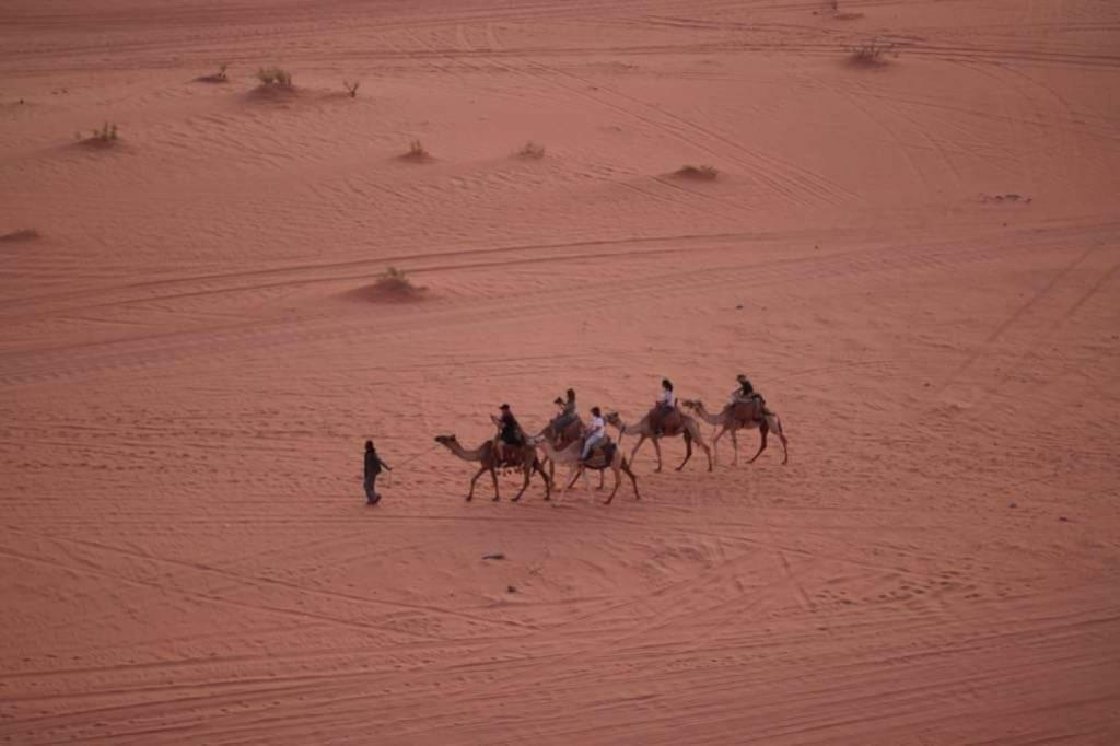 Wadi Rum-Bedouin Tents And Jeep Tours Kültér fotó
