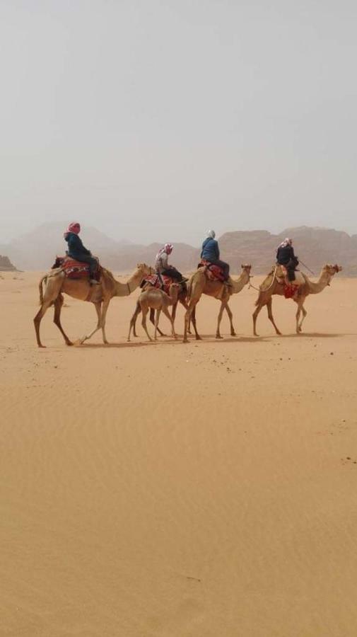 Wadi Rum-Bedouin Tents And Jeep Tours Kültér fotó